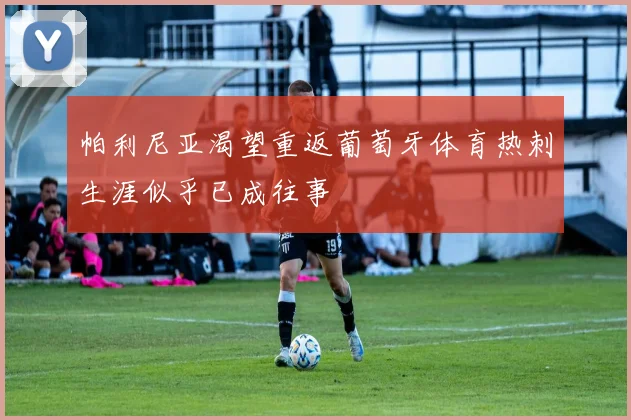 帕利尼亚渴望重返葡萄牙体育热刺生涯似乎已成往事