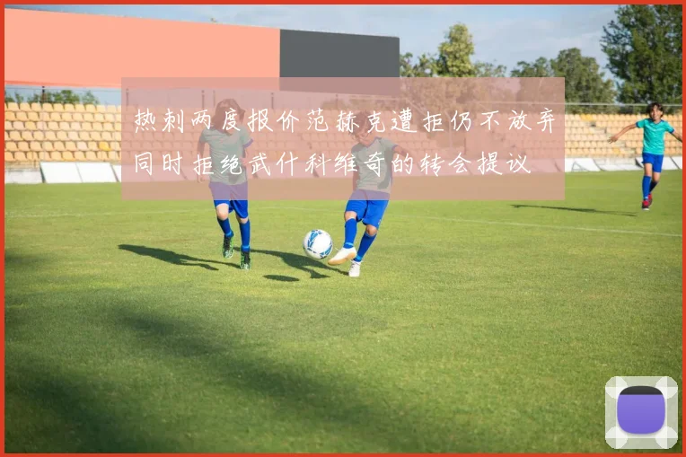热刺两度报价范赫克遭拒仍不放弃同时拒绝武什科维奇的转会提议