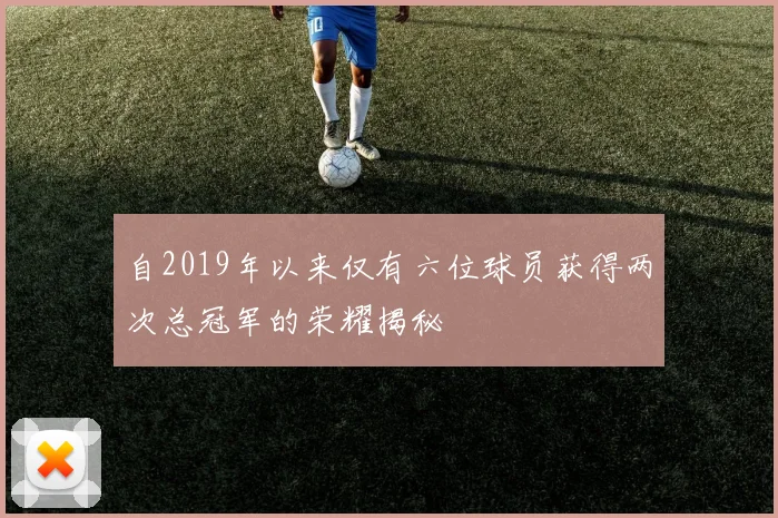 自2019年以来仅有六位球员获得两次总冠军的荣耀揭秘